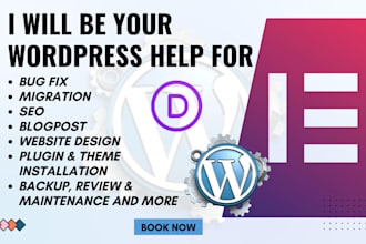 be your wordpress virtual assistant wordpress va and wordpress help