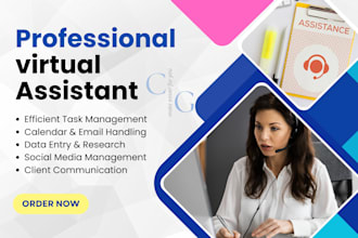 offer rental property management, virtual assistant service