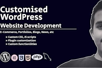 deliver a professional wordpress website