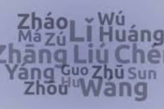 provide  chinese to turkish or tr to zh game localization