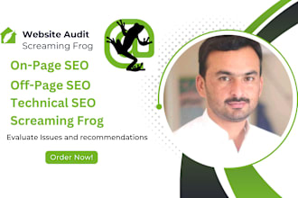 do website SEO audit report with screaming frog