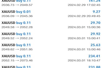 develop trading robot, forex trading, trading bot, forex robot, forex ea robot