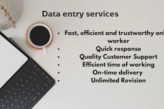 do data entry, web research, excel, admin support work,email, copy paste