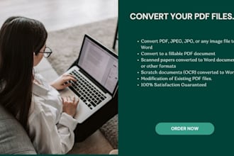 do data entry, convert PDF or jpeg files to editable word or excel