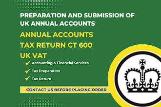 prepare and submit UK annual accounts and corporation tax return ct600