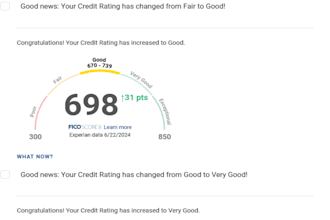 do expedited collection removal from credit reports