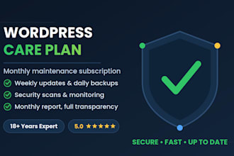 maintain your wordpress website with updates, backups and security care