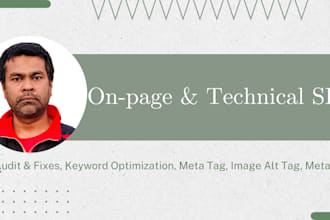 optimize on page and technical SEO service