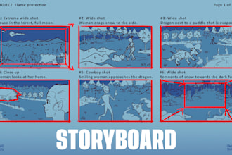 draw a detailed storyboard