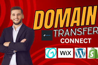 connect domain transfer domain redirect domain shopify godaddy hostinger wix