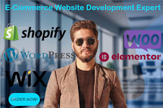 expert wordpress website development and design elementor website builder