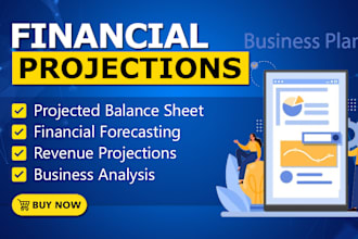 provide financial forecast, projections and business plan