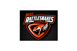 design amazing acceptable ice hockey team logo