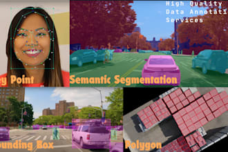 do image annotation, data labeling, bounding box, polygon for ai