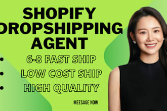be china shopify dropshipping agent,fulfilling orders within 24h