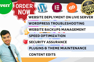 be your website manager for wordpress website maintenance