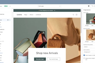 be your shopify expert and shopify theme developer