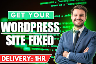 do wordpress bug fixes, plugin fix, theme issues, mysql error, all bug fix