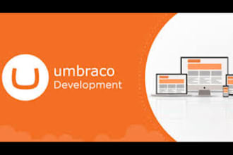 umbraco developer for website customization and support