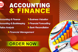 do accounting,finance,forecasting,ratios analysis,valuation,bank reconciliation