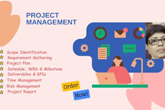 do IT project management with proper planning in excel
