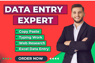 do data entry work for you or data entry in low price