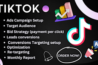 setup and manage tiktok account ads campaign