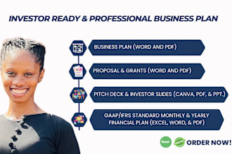 develop professional business plan, proposal, financial plan, and pitch deck