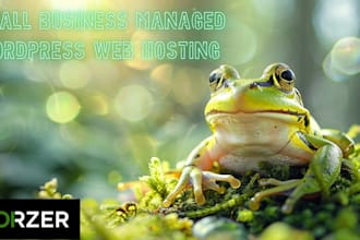 provide small business managed wordpress website hosting fast and secure