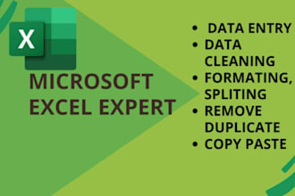 do excel, access data entry
