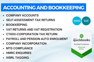 prepare and submit UK company accounts and tax return, UK accountant