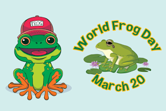 make high quality mascot frog logo and illustration