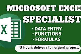 do excel formulas, macros, male merge and excel file formatting