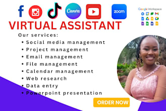 be your personal virtual assistant executive assistant and administrative
