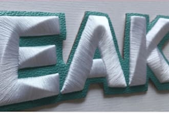 do expert 3d puff embroidery digitizing in dst, embroidery logo