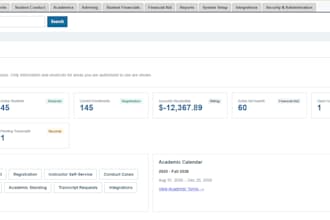 a custom web application, portal, or business system
