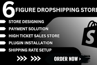 do high ticket dropship store