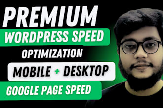help to wordpress speed optimization, google pagespeed insights