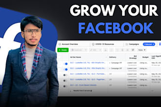 manage facebook ads compaign ,marketing, advertising and meta ads