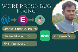 do wordpress bug fixes with in hour