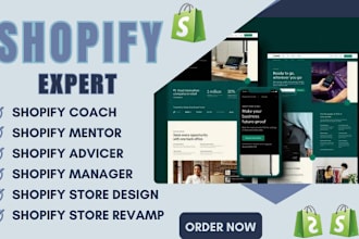 be shopify consultant, mentor, coach, shopify integration, shopify expert