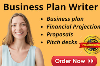prepare an investor ready business plan and financial model