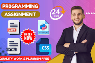 do computer science assignments, c sharp, cpp, java and python programming task