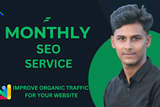 providing complete monthly SEO service for your wordpress website