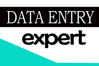 do data entry imagaes convert to pdf etc