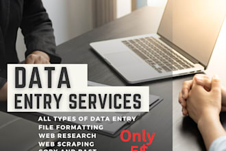 fast data entry and delivery services