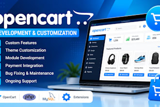 provide expert opencart services