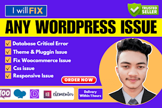 fix any wordpress issue, css, critical error within 1 hour