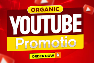 do organic youtube video promotion to get real audience