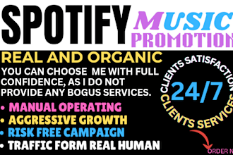 do expert spotify music promotion through ads campaign